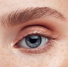 Eyebrow Shaping, Tinting, And Henna Services In Coral Springs